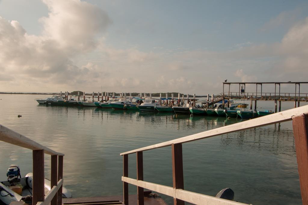 Chez Manany Galapagos Ecolodge Puerto Villamil Exteriér fotografie