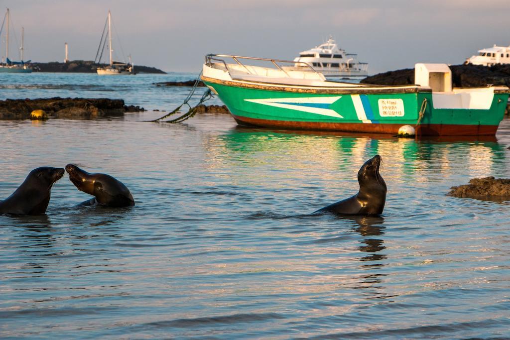 Chez Manany Galapagos Ecolodge Puerto Villamil Exteriér fotografie