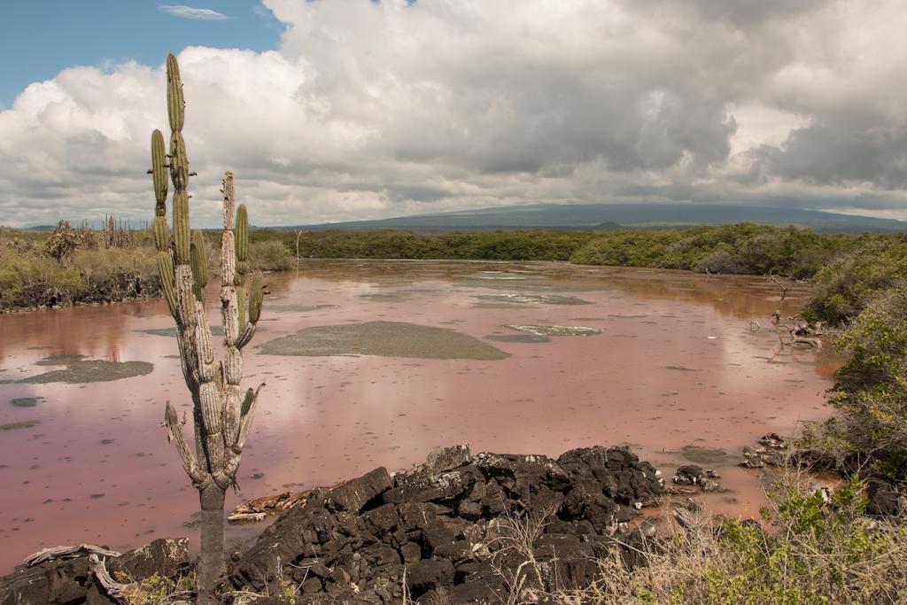 Chez Manany Galapagos Ecolodge Puerto Villamil Exteriér fotografie