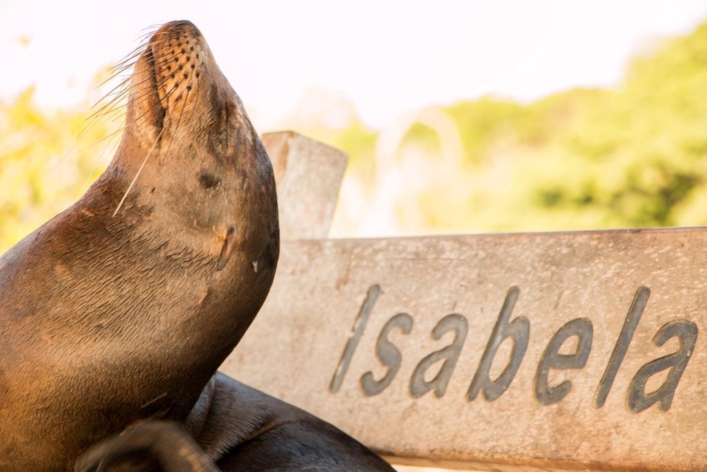 Chez Manany Galapagos Ecolodge Puerto Villamil Exteriér fotografie